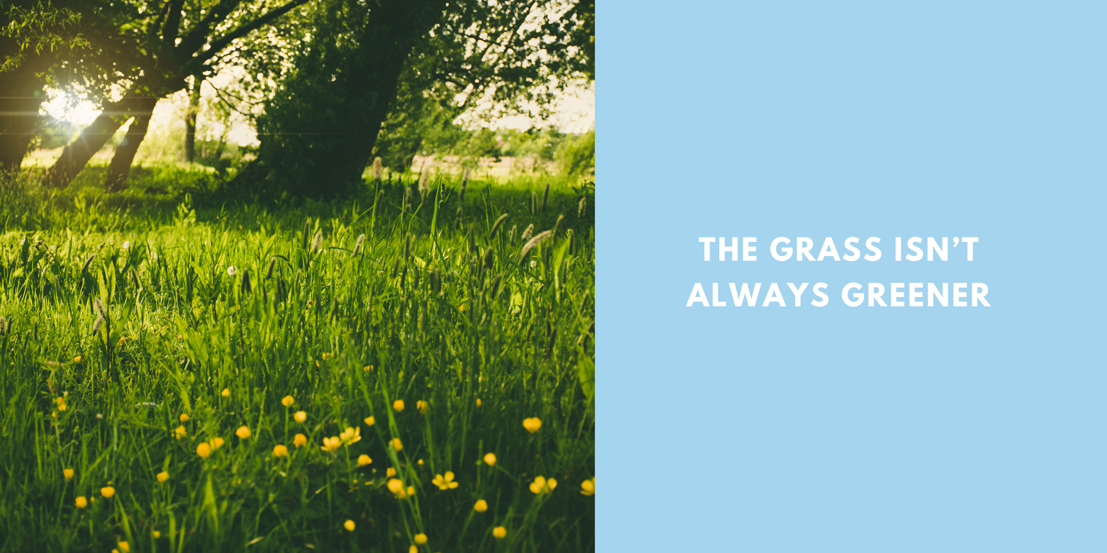 The grass isn’t always greener blog cover